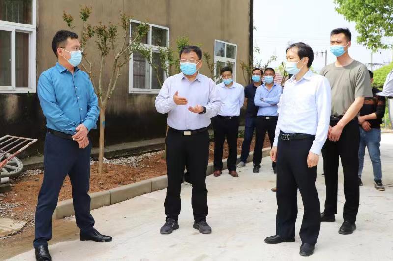 李新宇调研美丽乡村建设工作_南陵县人民政府